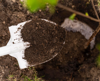 Soil Health and Conservation