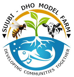 Suubi | DHO Model Farm